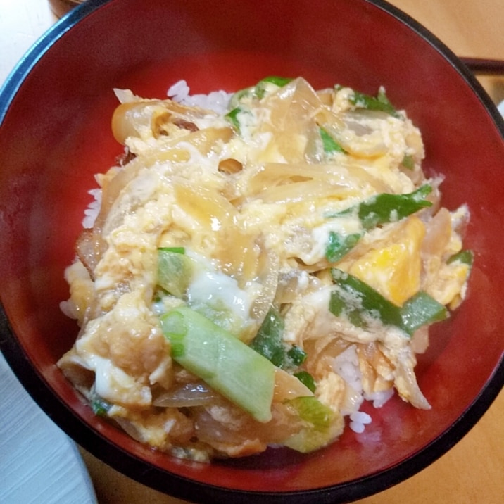 玉ねぎと青ネギの簡単丼